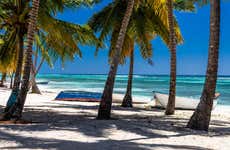 Tour of Saona Island Beaches