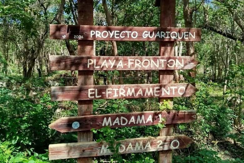 Imagen 10