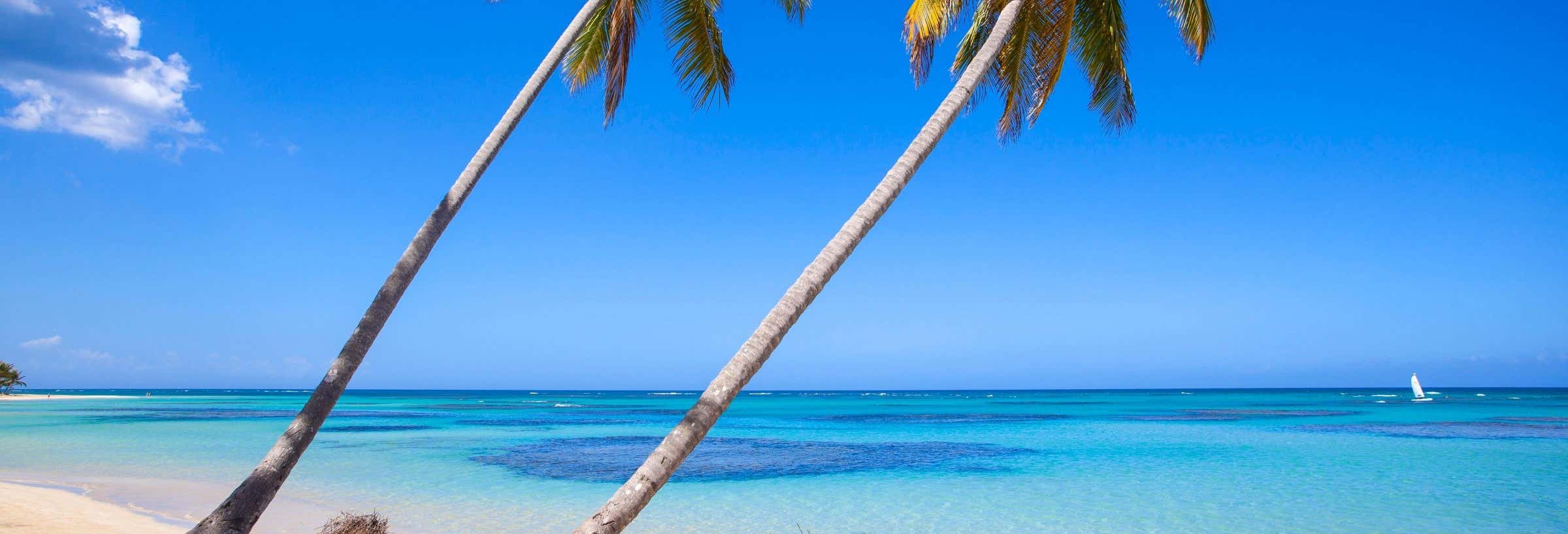 Tour privato delle spiagge di Temptation Island