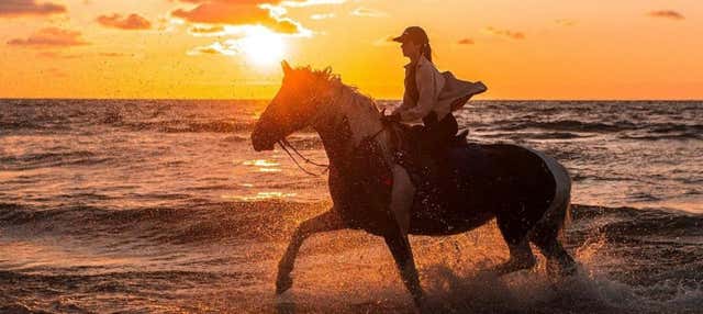 Passeggiata a cavallo sulla spiaggia di El Limón