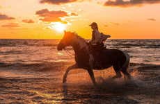 El Limón Beach Horse Ride