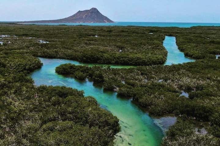Imagen 5