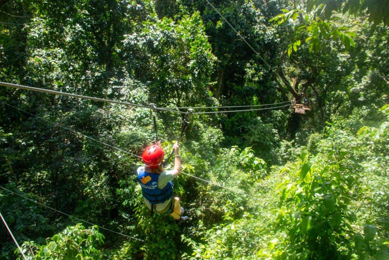 Soar on the zip line! - Soar on the zip line!
