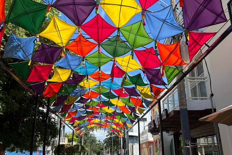 Imagen 7