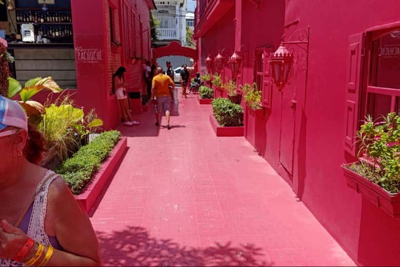 Imagen 7