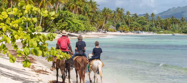 Passeggiata a cavallo sulla spiaggia di Puerto Plata