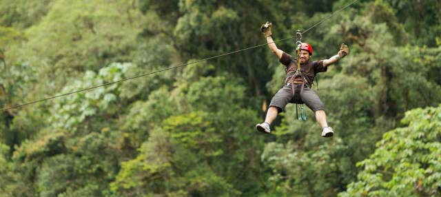 Zip line a Monkeyland