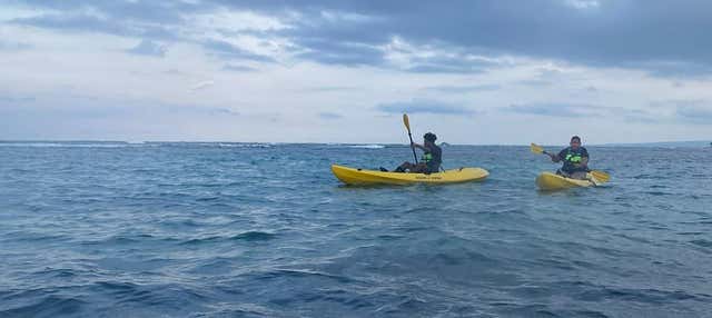 Tour en kayak por Puerto Plata