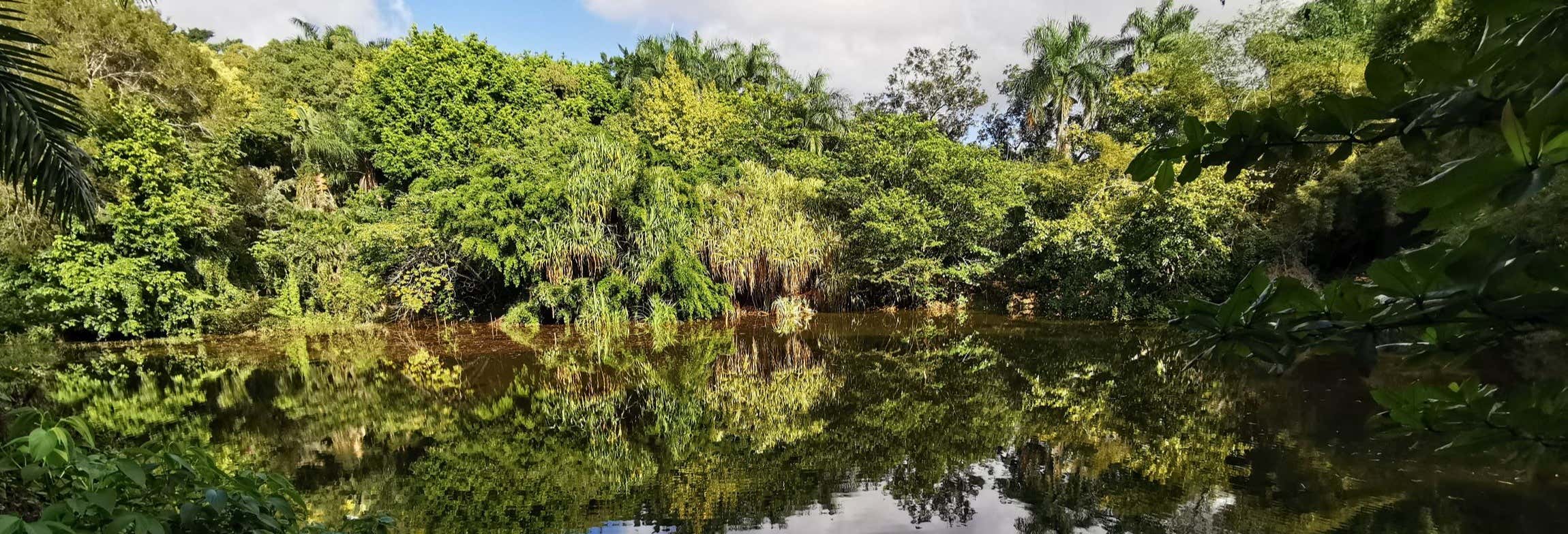 Tour di Puerto Plata e Taino Valley