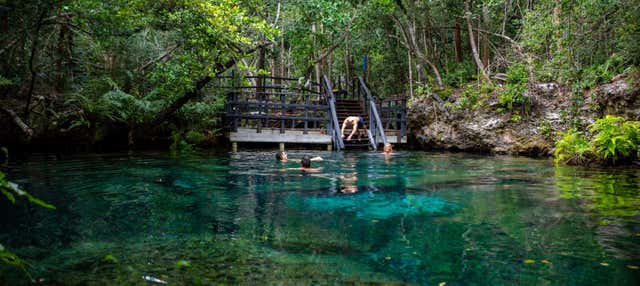 Escursione ai cenote di Ojos Indígenas + Avvistamento di animali