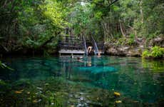 Excursão aos cenotes de Ojos Indígenas + Avistamento de animais