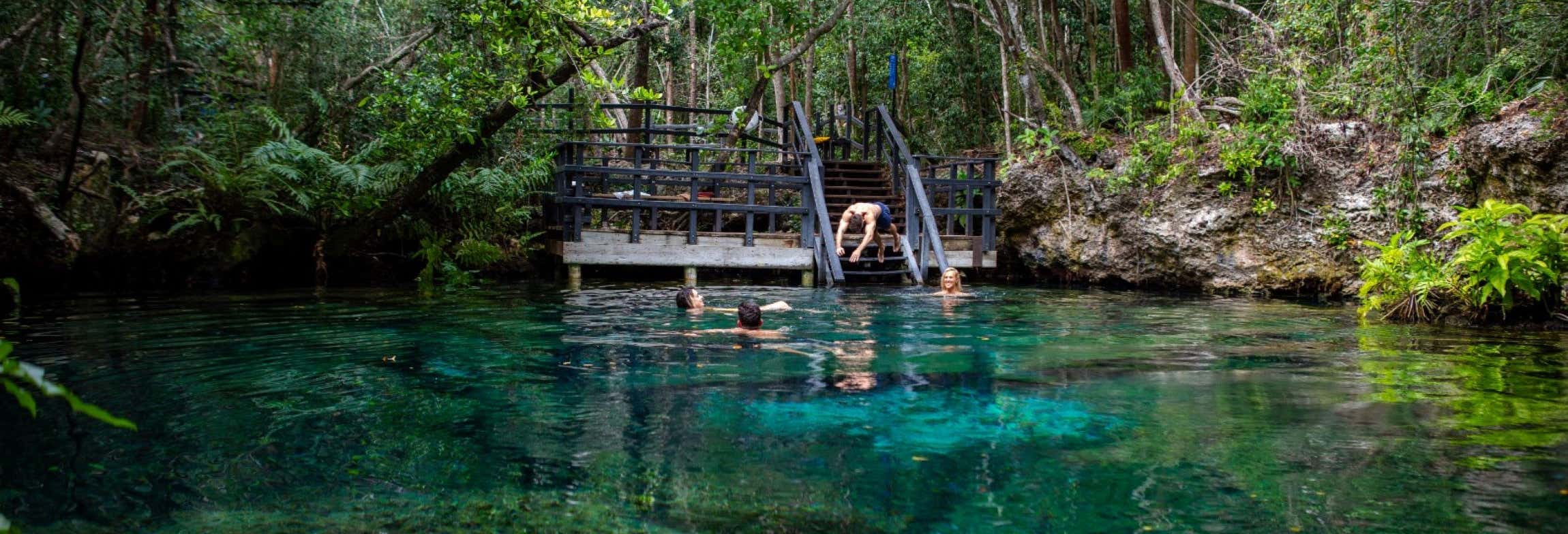 Escursione ai cenote di Ojos Indígenas + Avvistamento di animali