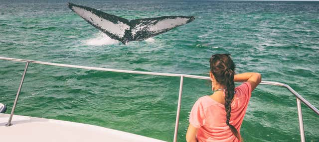 Whale watching a Samaná + Parco Nazionale Los Haitises