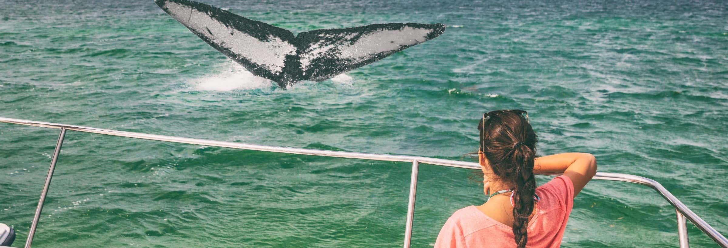 Whale watching a Samaná + Parco Nazionale Los Haitises