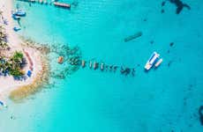 Saona Island Day Trip + Altos de Chavón
