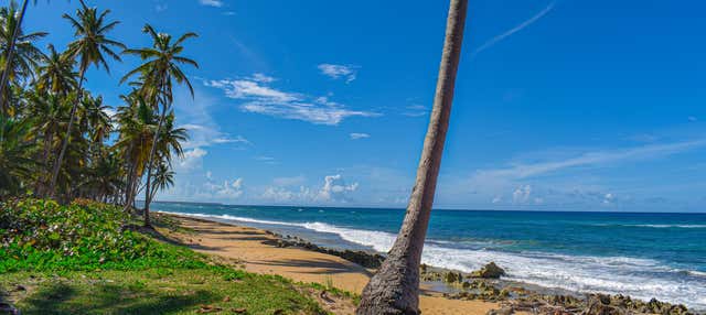 Escursione alla spiaggia El Limón