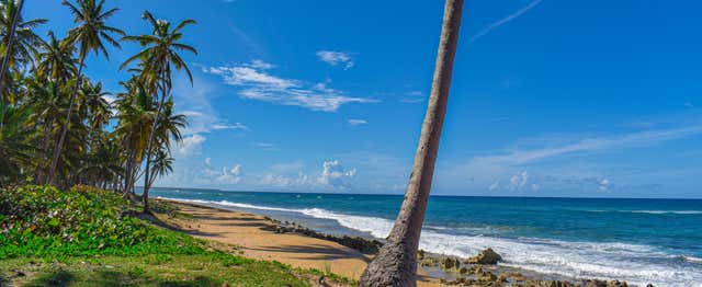 Excursion à la plage d'El Limón