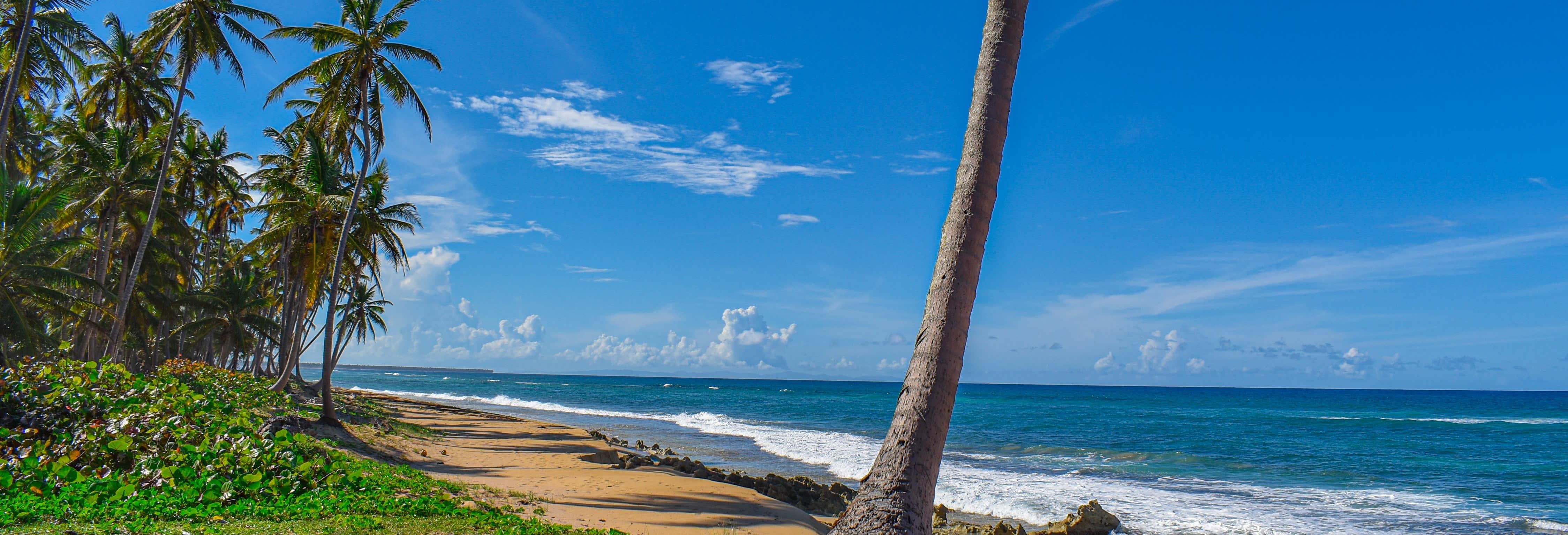 Escursione alla spiaggia El Limón