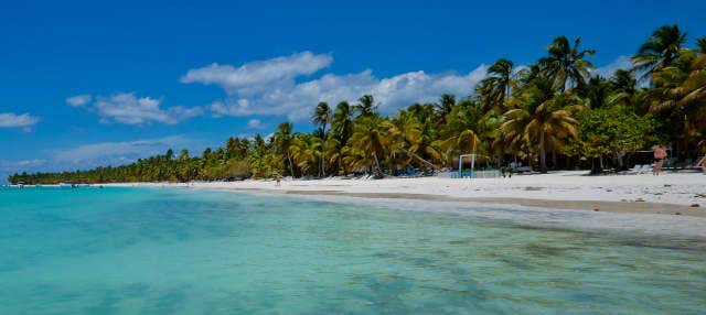 Escursione privata all'isola di Saona in motoscafo