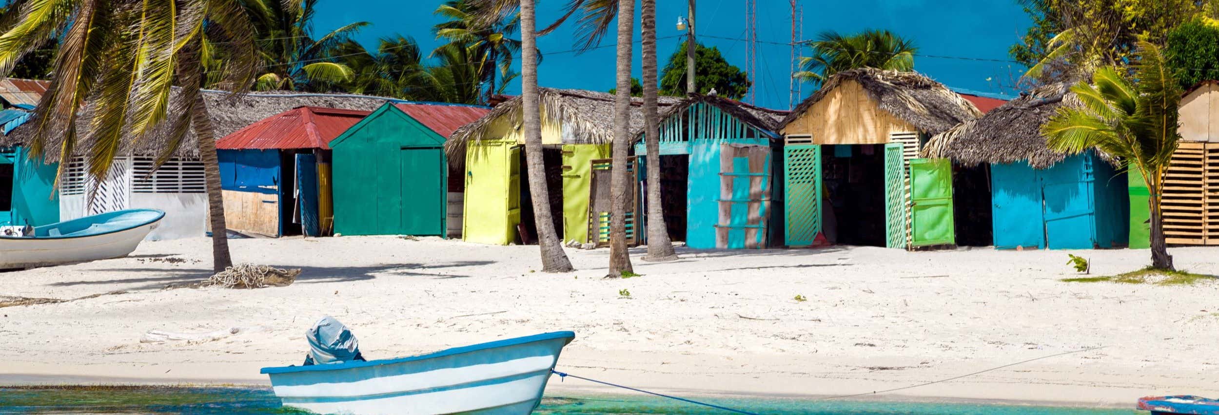 Escursione all'isola di Saona in barca con visione sottomarina