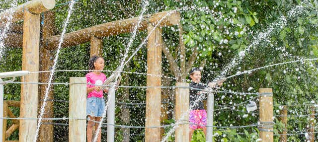 Escursione a Scape Park