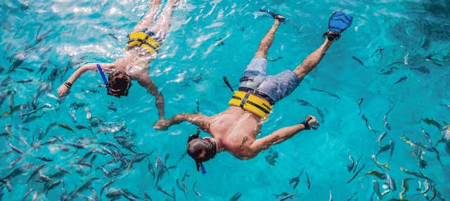 Escursione al Reef Explorer