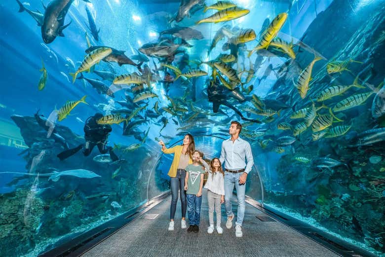 Imagen 10