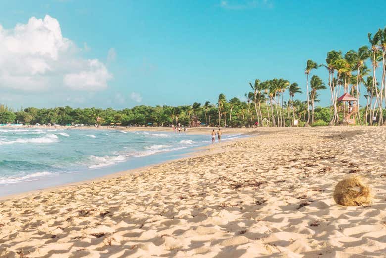 Macao Beach - Macao Beach