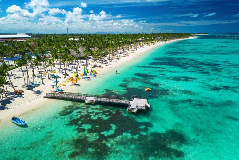 Imagen 6
