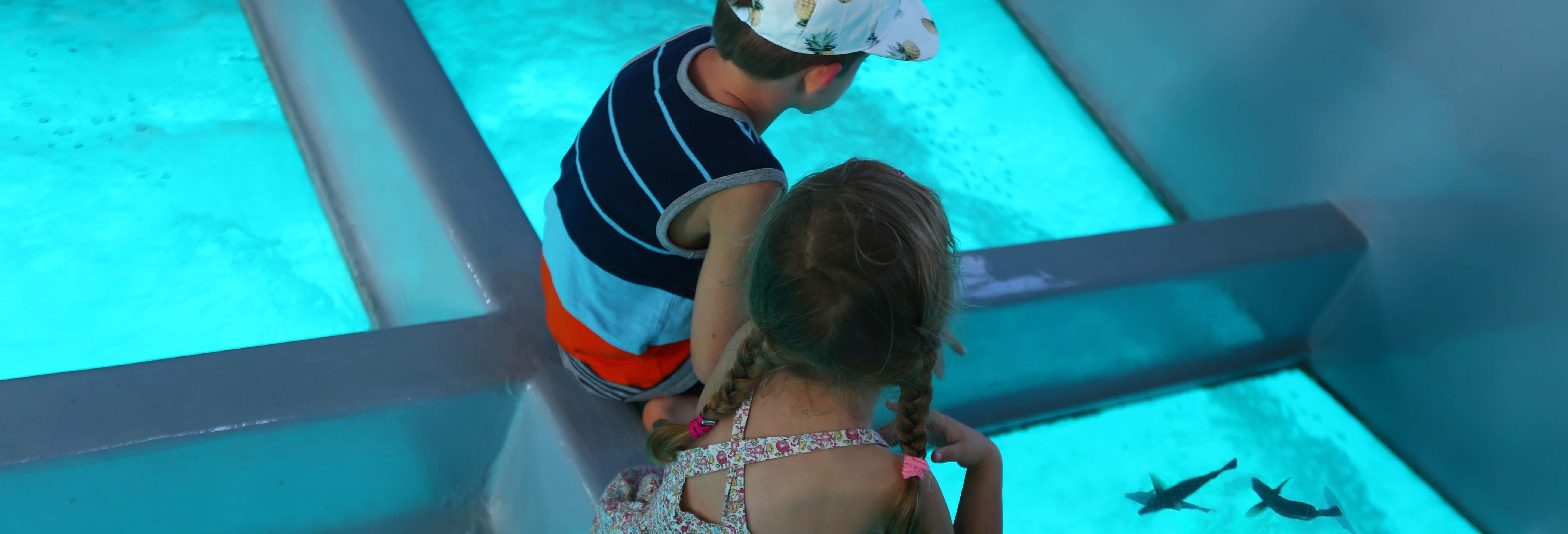 Giro in barca con fondo trasparente a Punta Cana