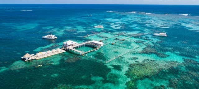 Giro in barca e snorkeling a Marinarium