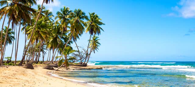 Passeggiata a cavallo sulla spiaggia di Uvero Alto