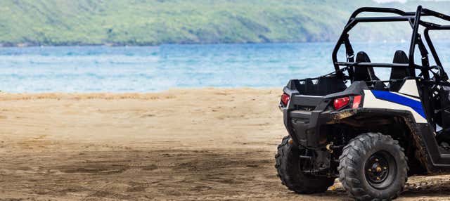 Tour in buggy + Visita alla caverna degli Antenati