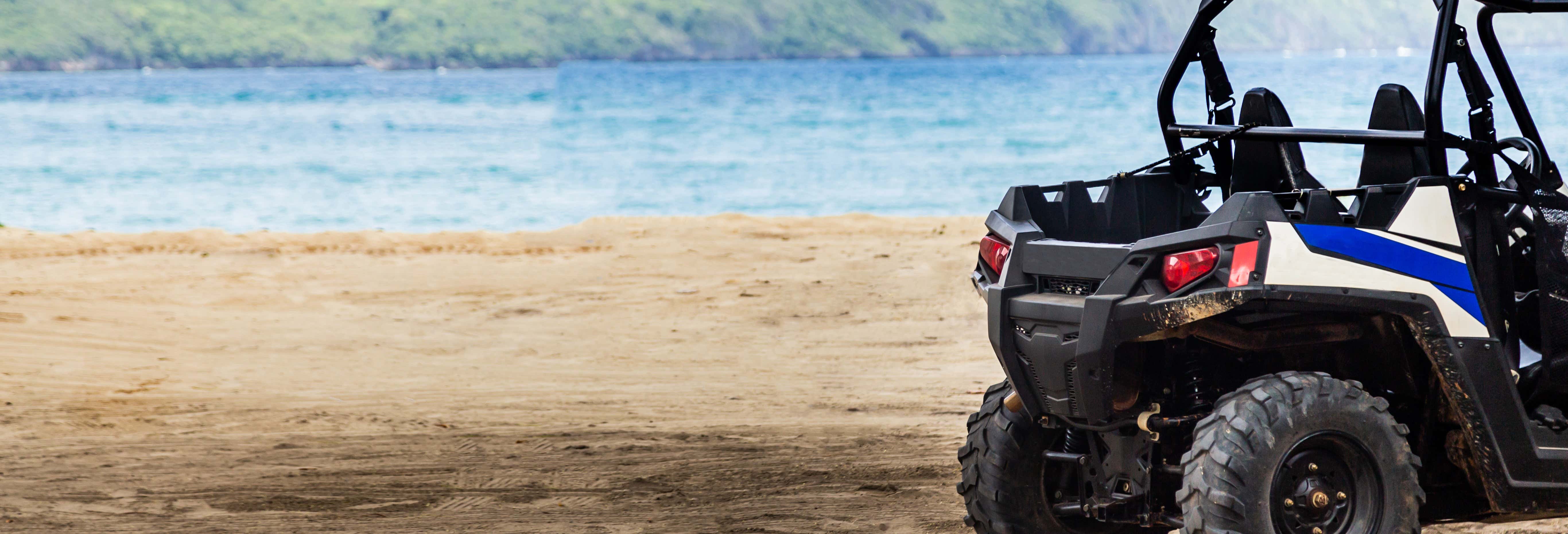 Tour in buggy + Visita alla caverna degli Antenati