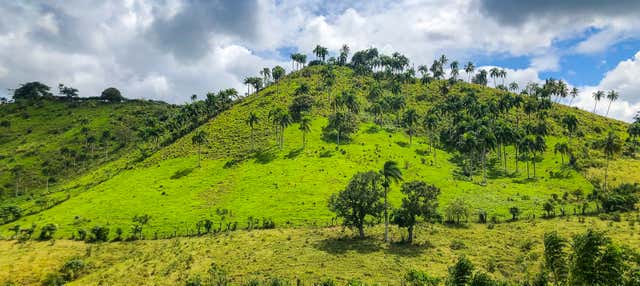 Truck Safari a Punta Cana