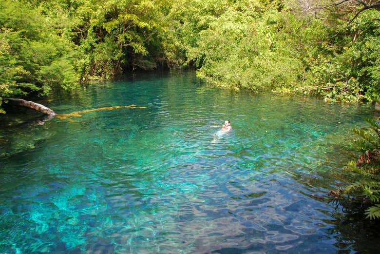 Imagen 2