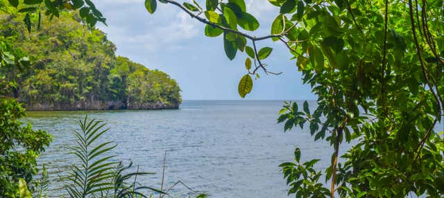 Escursione al Parco Nazionale Los Haitises e a Cayo Levantado