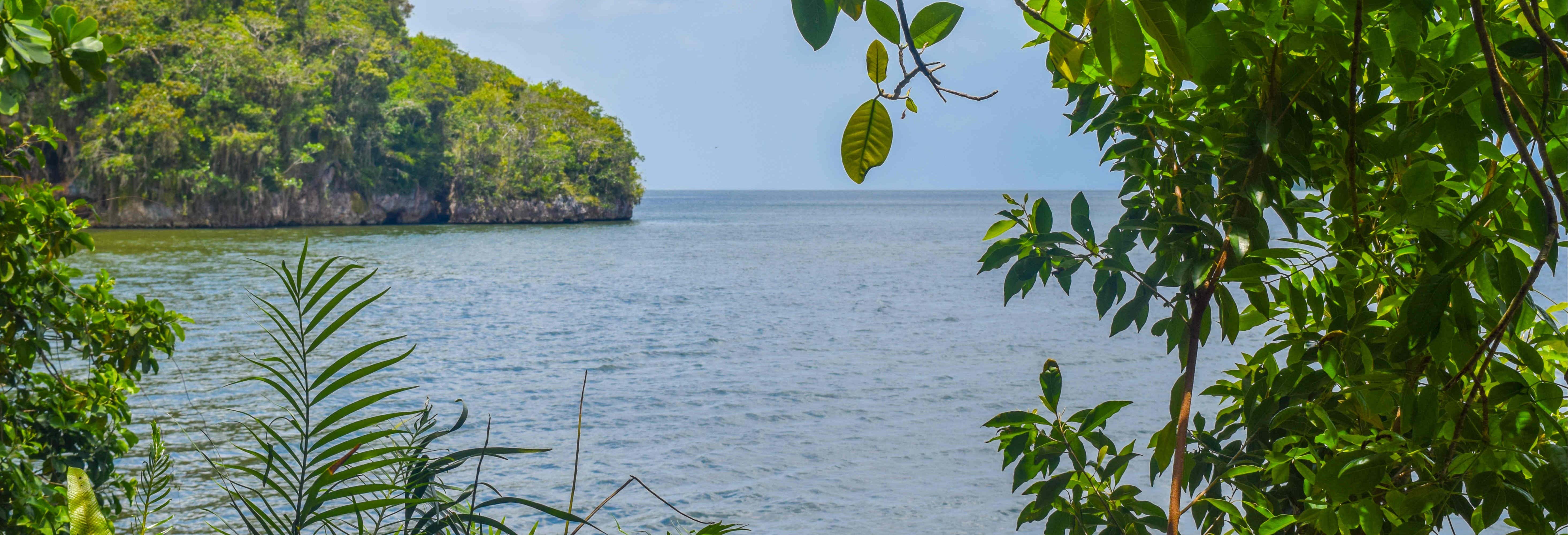 Los Haitises National Park & Cayo Levantado Excursion