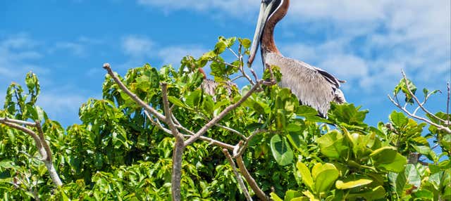 Escursione al Parco nazionale Los Haitises