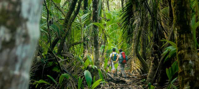 Free tour pelo Parque Nacional Los Haitises