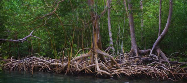 Trekking e giro in barca nel Parco nazionale Los Haitises