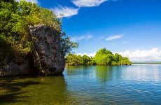 Los Haitises National Park and Cayo Levantado Trip