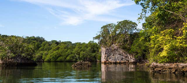 Excursion au parc national de Los Haitises