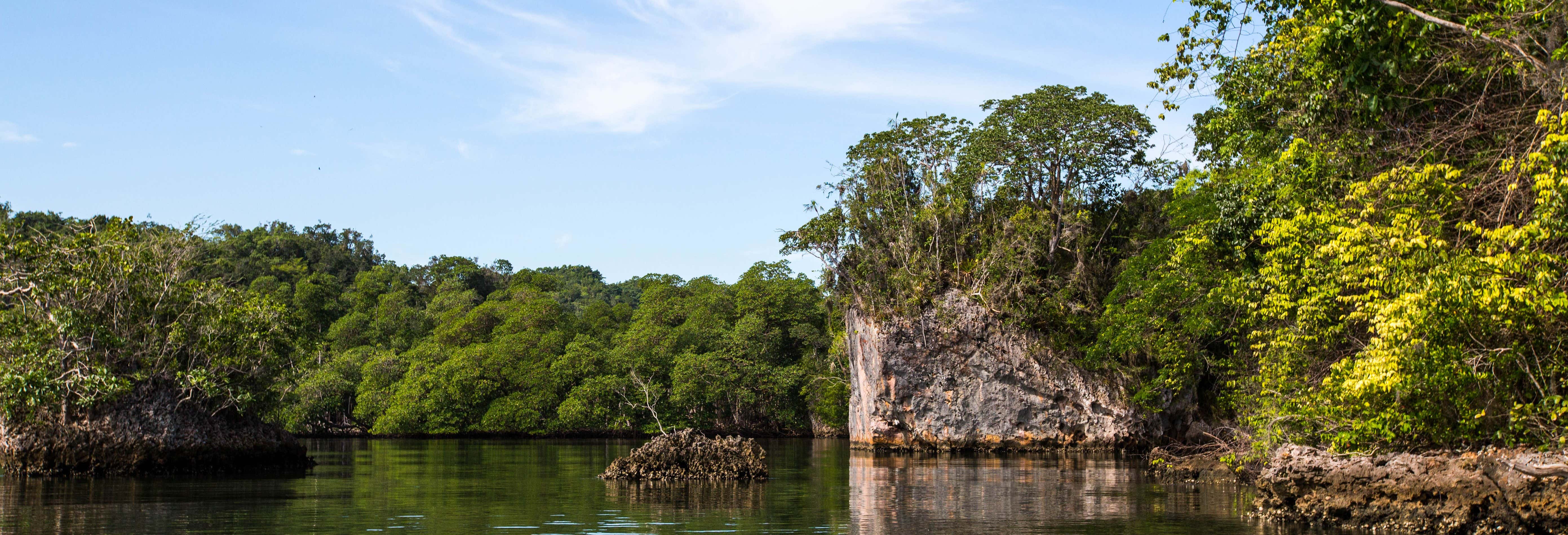 Excursión al Parque Nacional Los Haitises