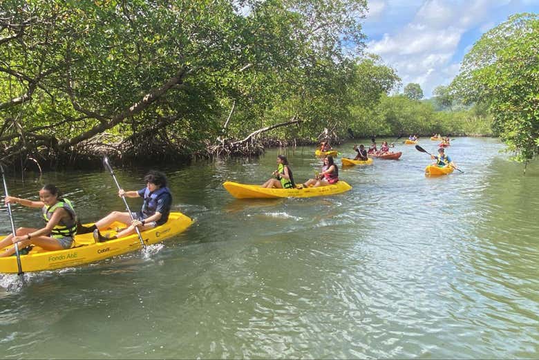 Los Haitises National Park Hiking + Kayaking