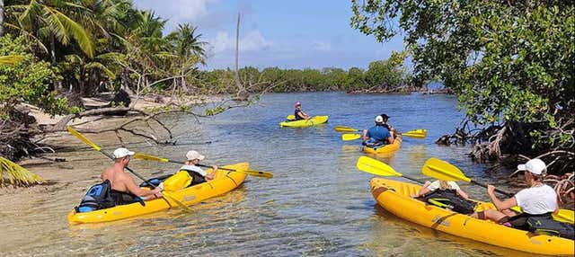 Tour del Parco Nazionale di Los Haitises in quad e kayak