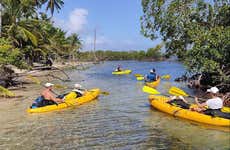 Los Haitises National Park Quad & Kayak Day Trip