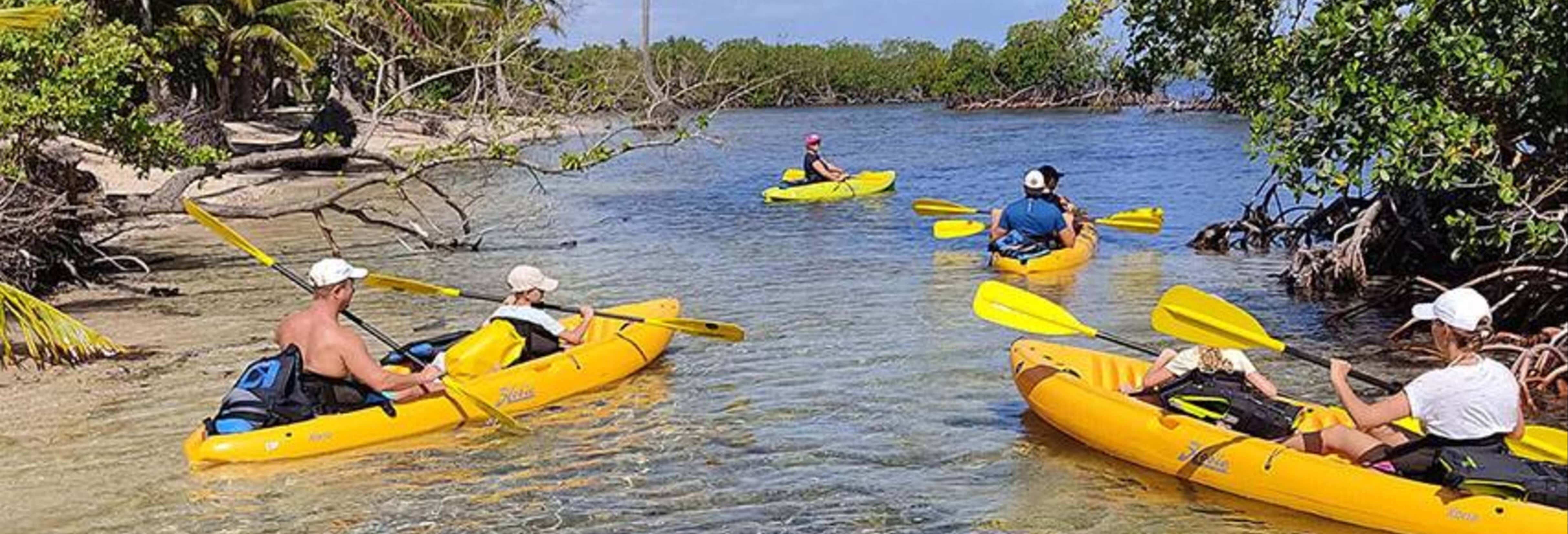 Tour del Parco Nazionale di Los Haitises in quad e kayak