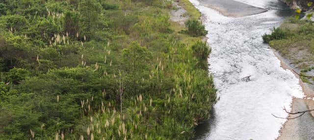 Trekking sulle rive del fiume Muchas Aguas