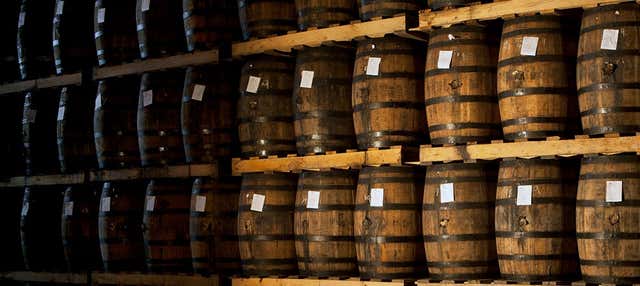 Visita al Centro Histórico Ron Barceló